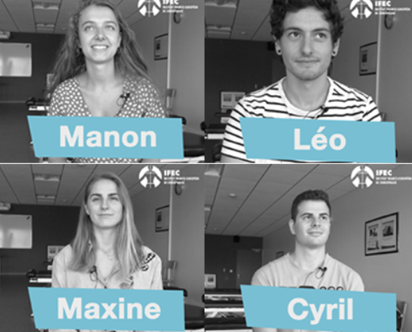 ifec - actualité